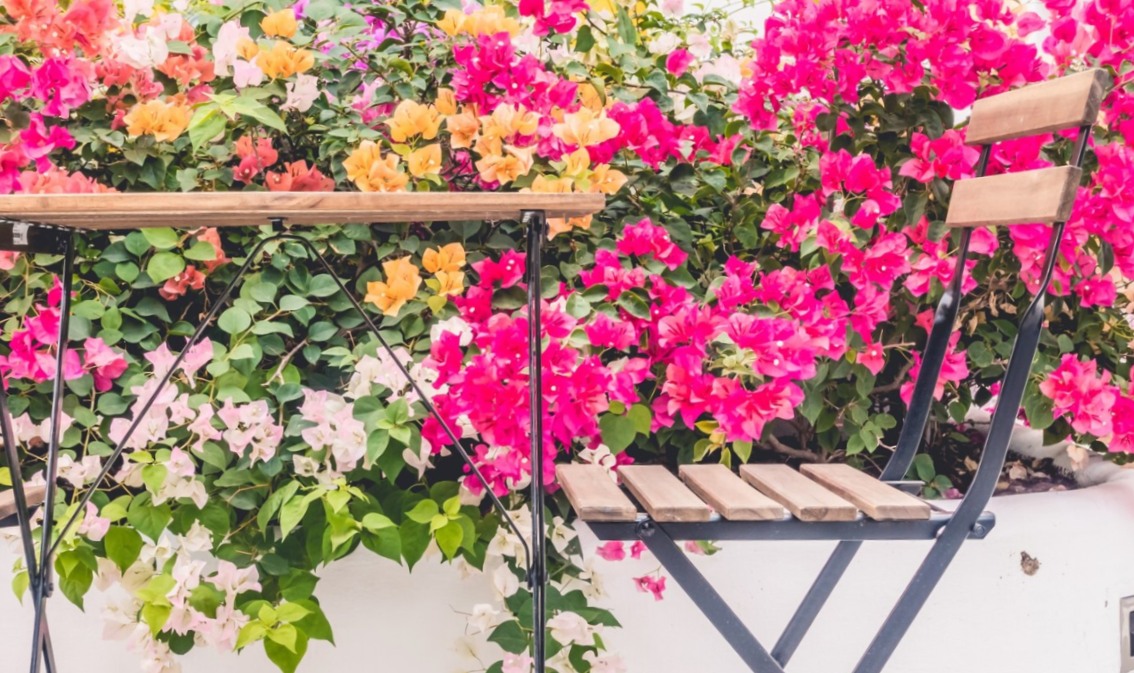 I segreti per un balcone fiorito tutto l'anno